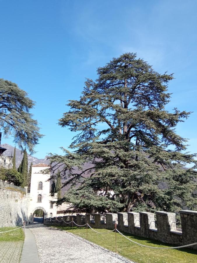 Casa Diso 2016 Leilighet Vittorio Veneto Eksteriør bilde